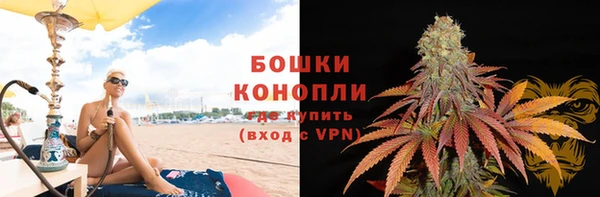 мдпв Михайловск