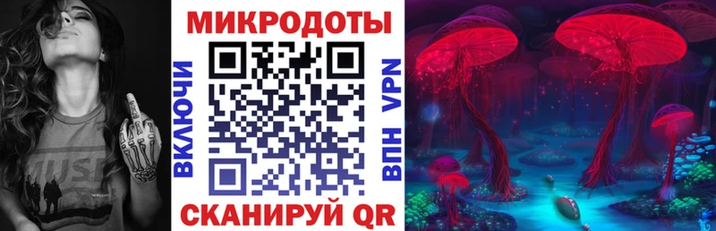 Псилоцибиновые грибы Psilocybe  продажа наркотиков  Новотитаровская 